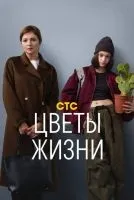 Цветы жизни 1-8 серии смотреть онлайн бесплатно