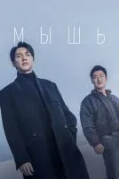 Мышь 1-22 серия смотреть онлайн бесплатно