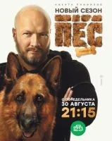 Пёс 1-7 сезон смотреть онлайн бесплатно
